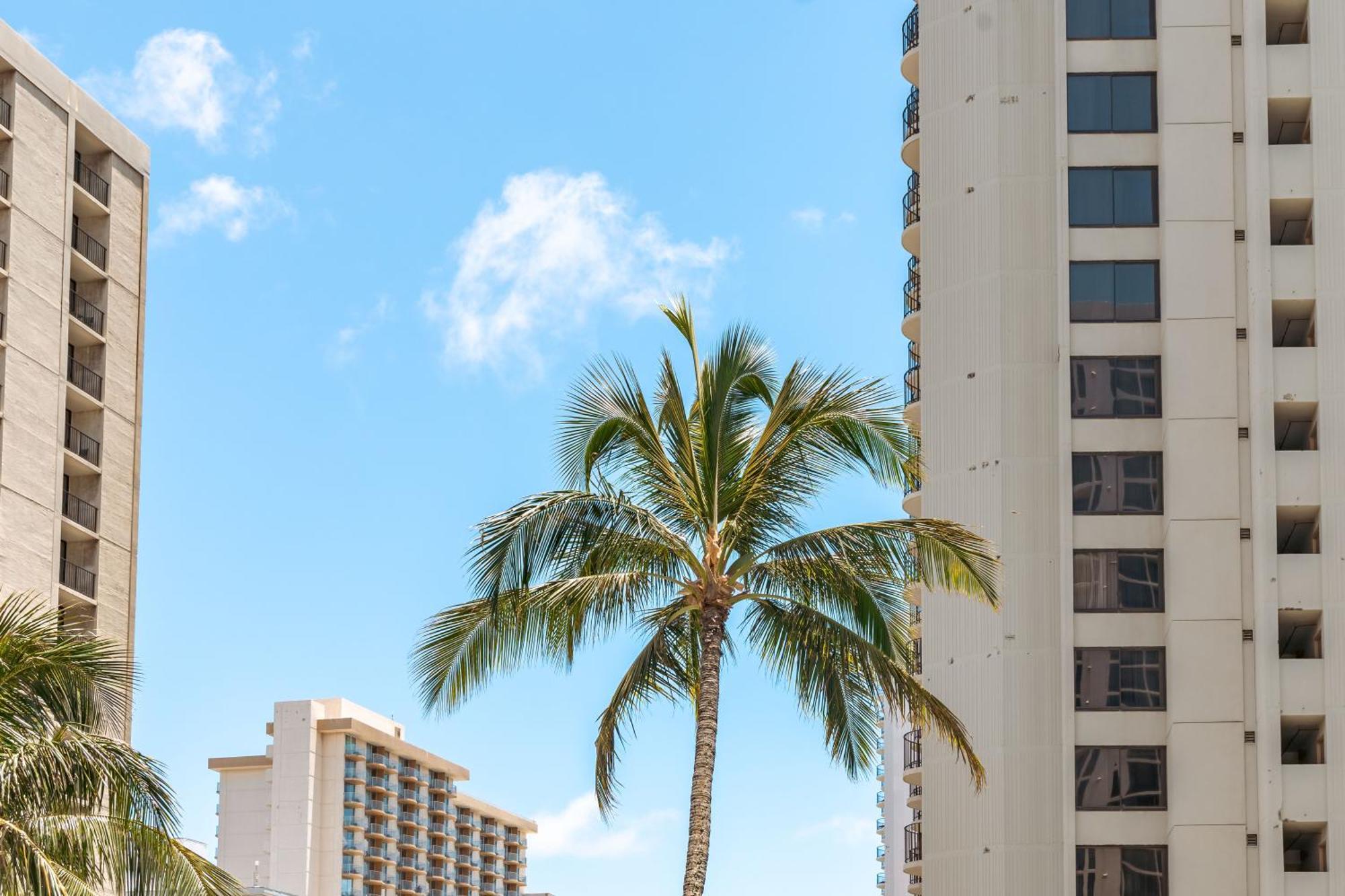 Waikiki Banyan 1Br With Great Ocean Views, Steps To Beach & Parking! Honolulu Exterior photo