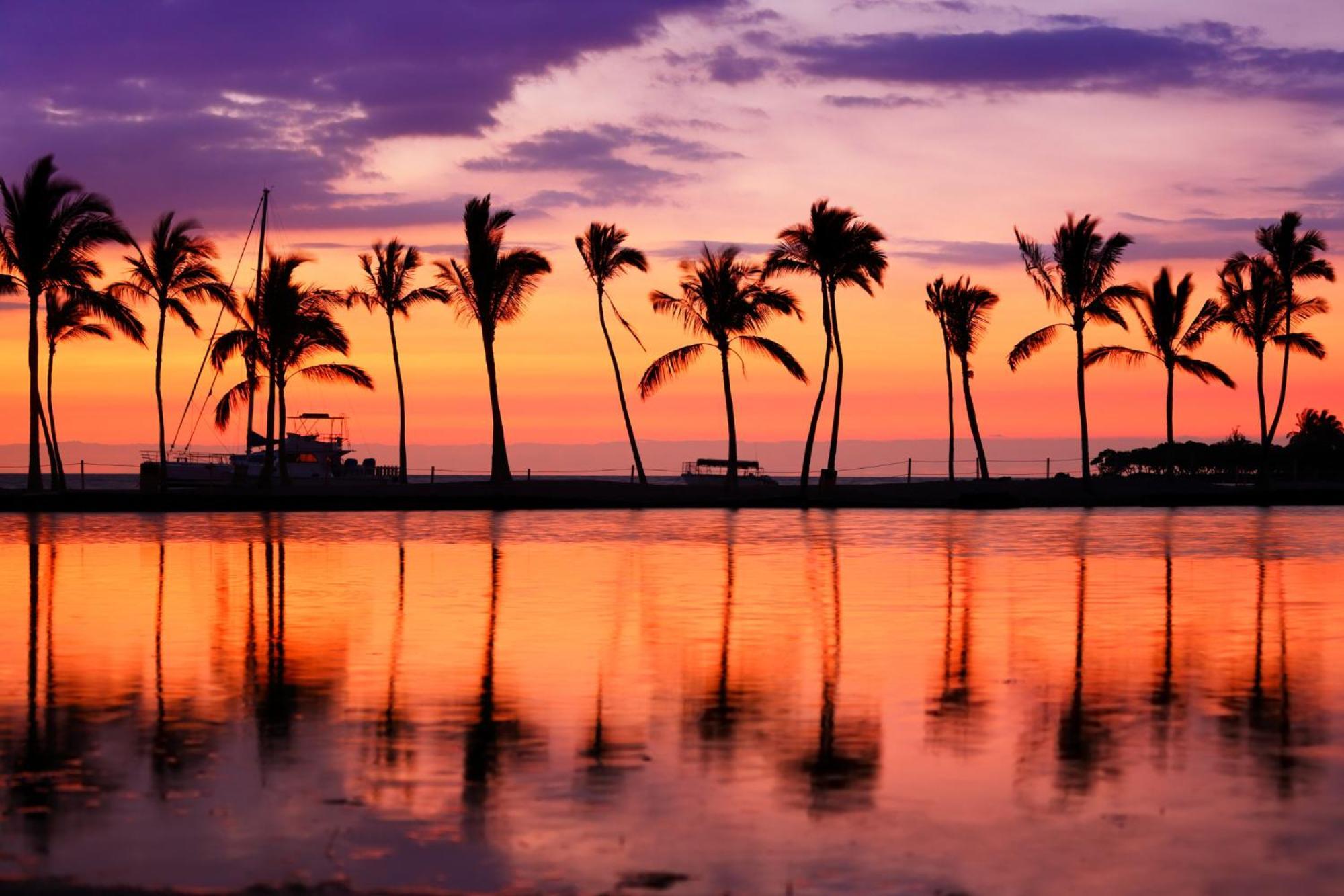 Waikiki Banyan 1Br With Great Ocean Views, Steps To Beach & Parking! Honolulu Exterior photo